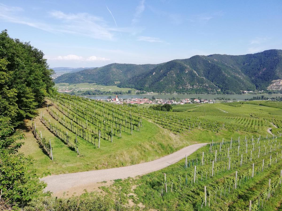 Feriendomizil Wachau Apartment Habruck Exterior photo